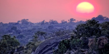 Serengeti Migration Camp, Aussicht