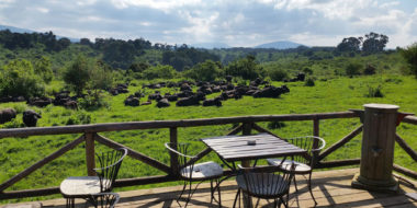 Rhino Lodge, Terrasse mit Aussicht