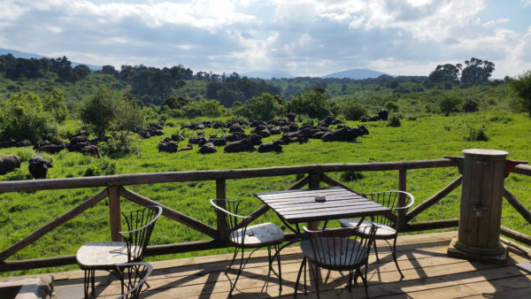 Rhino Lodge, Terrasse mit Aussicht