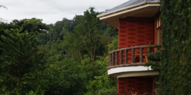 Udzungwa Falls Lodge, Ausblick