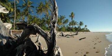 Simply Saadani Camp, Der Indische Ozean