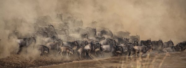 Great Migration